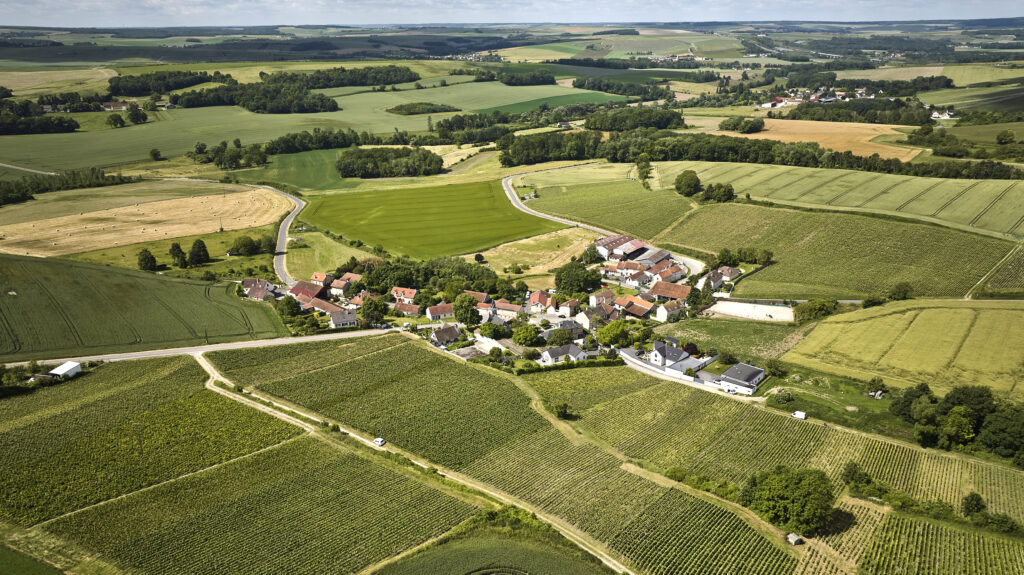 Vigneron Reims image article de blog